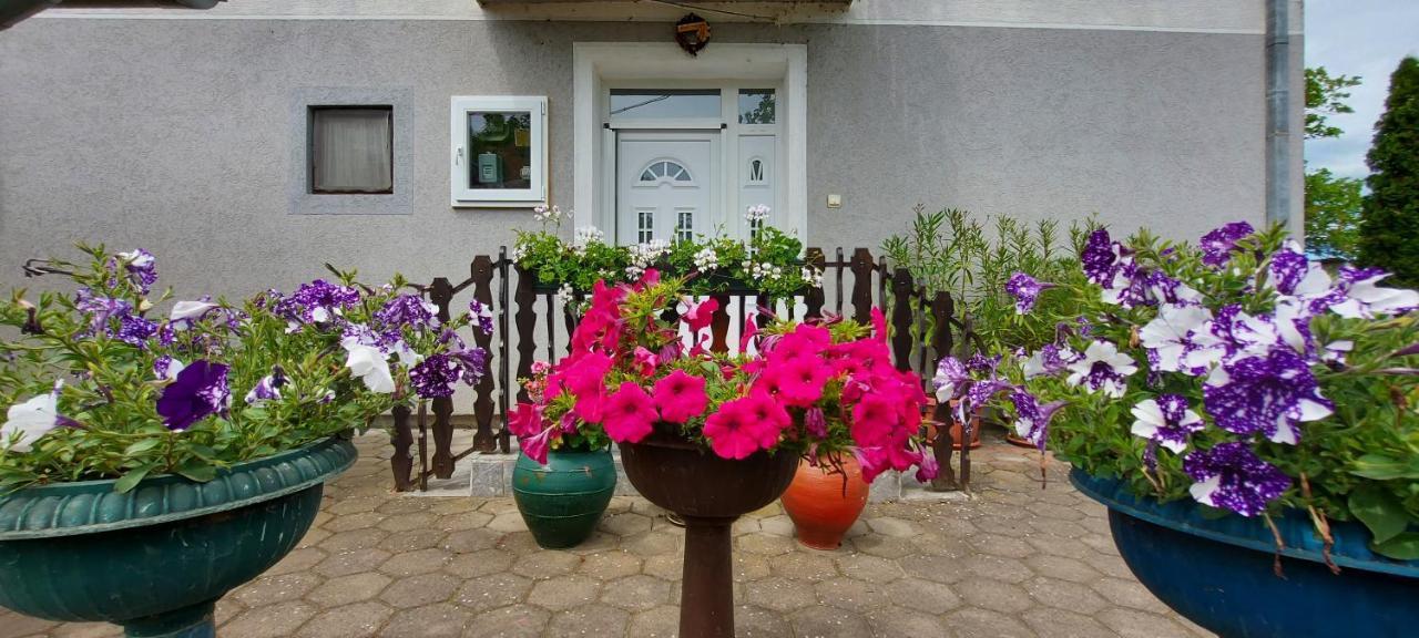 Guest House Dunavski Raj Kostol المظهر الخارجي الصورة