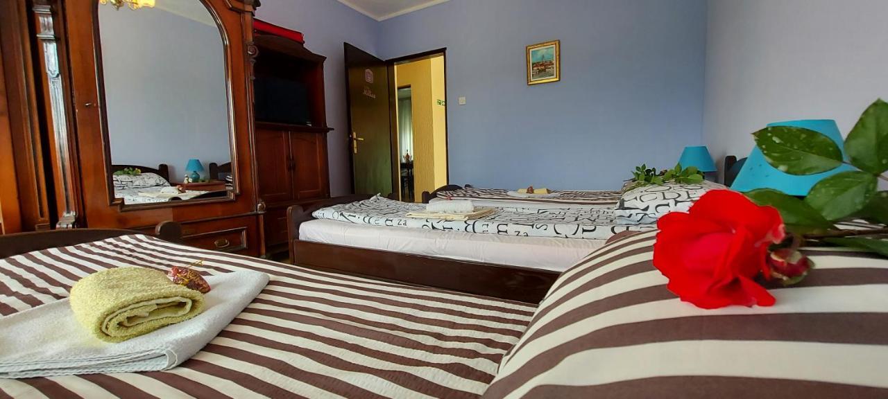 Guest House Dunavski Raj Kostol المظهر الخارجي الصورة