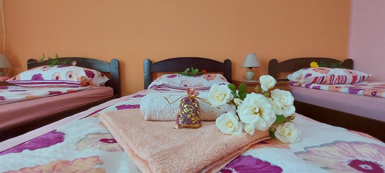 Guest House Dunavski Raj Kostol المظهر الخارجي الصورة