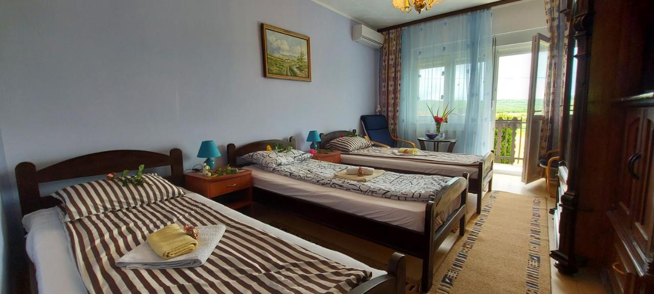Guest House Dunavski Raj Kostol المظهر الخارجي الصورة
