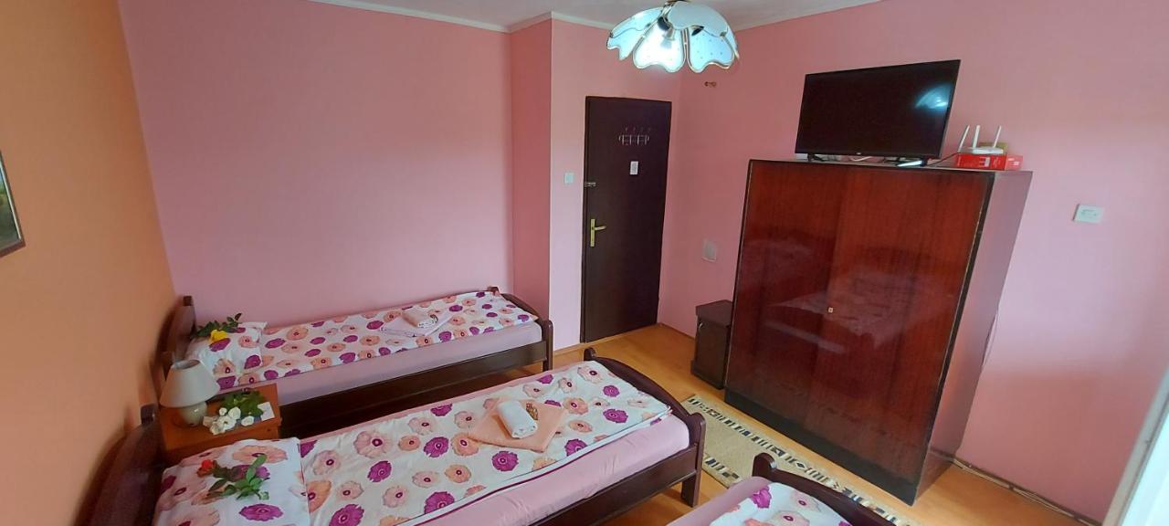Guest House Dunavski Raj Kostol المظهر الخارجي الصورة