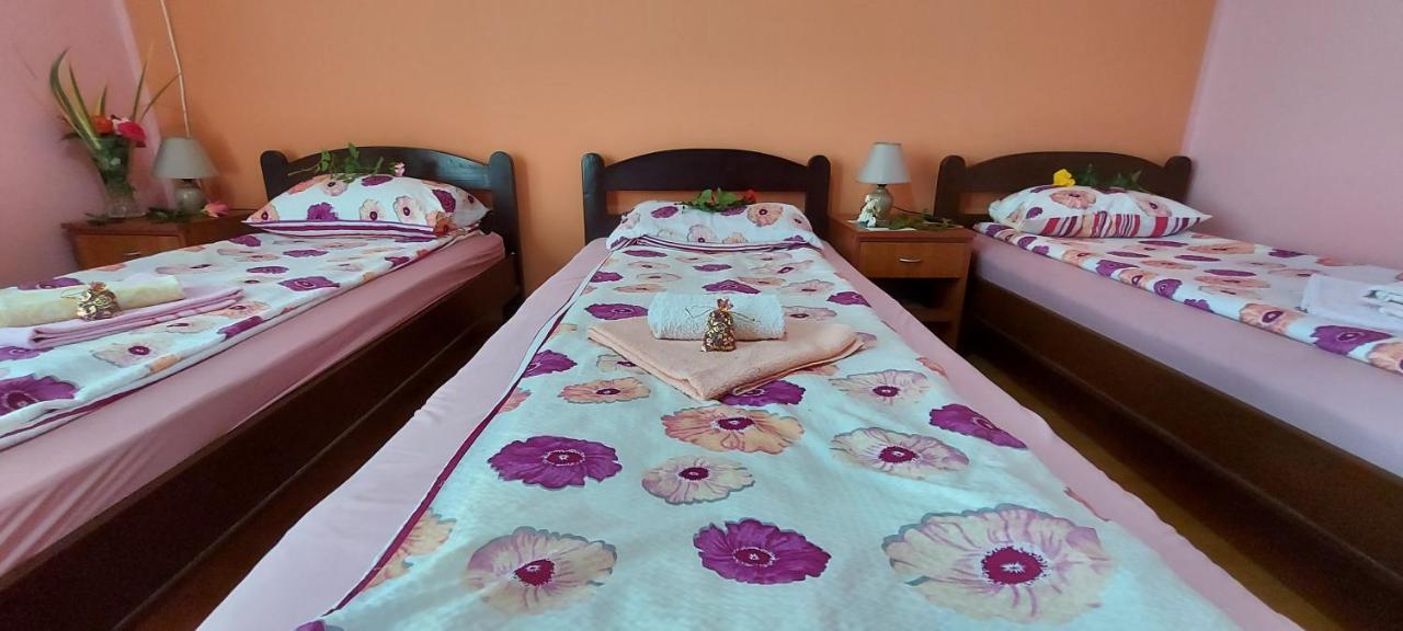 Guest House Dunavski Raj Kostol المظهر الخارجي الصورة