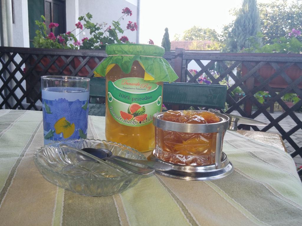Guest House Dunavski Raj Kostol المظهر الخارجي الصورة