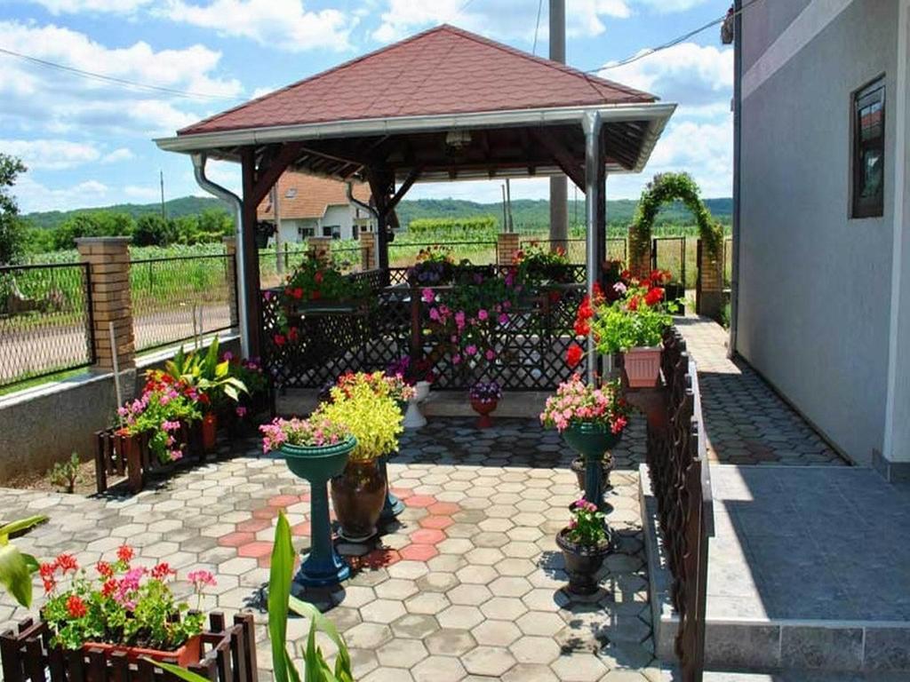 Guest House Dunavski Raj Kostol المظهر الخارجي الصورة