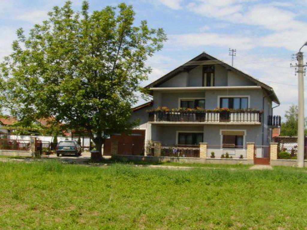 Guest House Dunavski Raj Kostol المظهر الخارجي الصورة