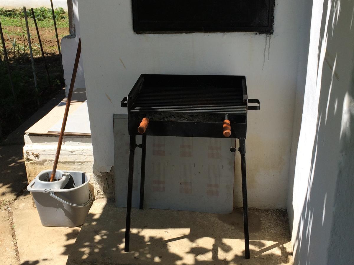 Guest House Dunavski Raj Kostol المظهر الخارجي الصورة